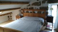 Comfort Suite