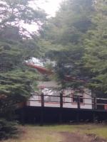 Cabaña en el bosque - B&B Coñaripe