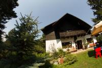 Pension Cabana Ionela - B&B