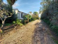The Green Planet - B&B