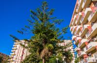 545 Jupiter Apartamento - Paya a 600 metros - Piscina todo el año - Excelente ubicación - Chambres d'hôtes Benalmádena