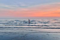 TERRAZZA SUL MARE - Appartamento Rilassante - Ferienwohnung Grado