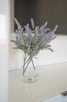 Crystal Adria - B&B Privlaka