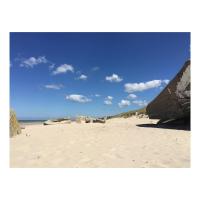 Entre Mer et Dunes de Pin - B&B Neufchâtel-Hardelot