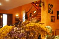 Olival House - B&B Paço de Sousa