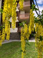 Il Cirmolo - B&B Madonna di Campiglio