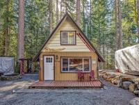 Tee & Ski Cabin - B&B Packwood
