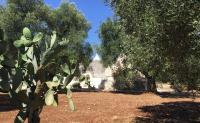 Trullo Amato - Ferienwohnung
