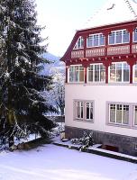 Villa Du Sendenbach - Chambres d’hôtes Muhlbach-sur-Munster