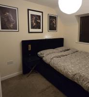 Modern Beautiful Luxury Coach House Free Parking - Chambres d’hôtes