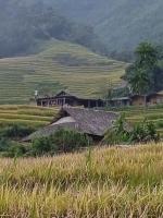 Black Hmong Sapa Homestay Family - Chambres d'hôtes Sa Pa