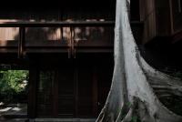 Three Bedroom Pool Villa - Renjana (with free airport transfer)