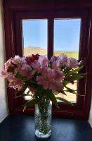 Y Felin - B&B St David's