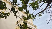 Relais Villa Montedonzelli - Bed and Breakfast
