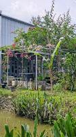 Coco Happy Farm - Bed and Breakfast Bến Tre
