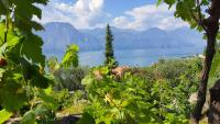 Point of View - B&B Brenzone