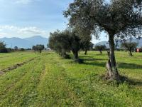 Chambre Double avec Salle de Bains Privative