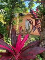 Garden House - Ferienwohnung Las Galeras