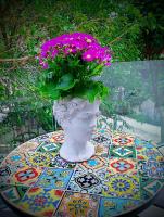 Villa Maya - B&B Villa San Giovanni