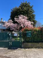 The little lake Verona villa - Bed and Breakfast