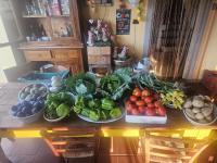 podere il sorriso degli angeli - B&B