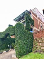 Small Land Lodge - B&B Kibuye