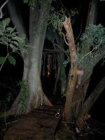 Klein Eden Forest - B&B Rustenburg