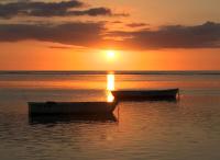 Resident Les lillas - B&B Flic en Flac