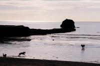 Pet Friendly Sea view Villa Millendreath Looe - B&B Looe