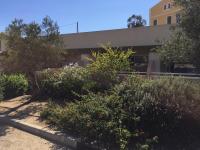 Résidence les Eucalyptus, Appart à 500m de la mer et du centre - Ferienwohnung L’Île-Rousse