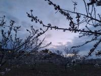 La casa del Amo , Trasmoz Y Moncayo - Bed and Breakfast