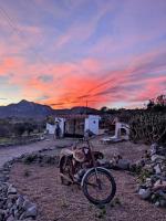 Finca Mamaflo - B&B
