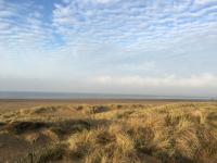 Appartement neuf 62 m², 5 couchages, à 250 m de la plage - balcon, jardin privé, et parking inclus - FR-1-364-111 - Ferienwohnung Saint-Brevin-les-Pins