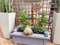 @30 Zebra - Chambres d’hôtes Polokwane