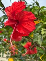 studio sympa - B&B Port-Louis