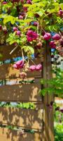 Apartament Turmalin - B&B