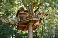 Family Room with Garden View