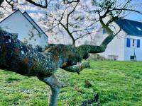 Maison de famille Henvic - B&B Henvic