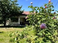 Căsuța de la țară - Bed and Breakfast Bradu