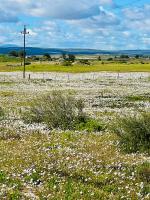FarmStay - B&B Elandsbaai