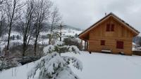 Chalet con 2 Camere da Letto