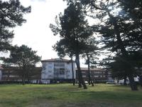 La Forêt 5 - B&B Mimizan-Plage