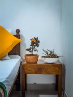 Chambre Double ou Lits Jumeaux