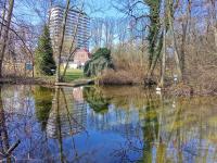Seeblick Apartment neben der Schwimmhalle, Tierfreundlich - B&B