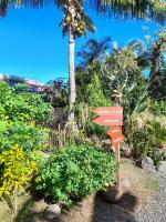 ti bois de nefles cocos , location ravine blanche - B&B