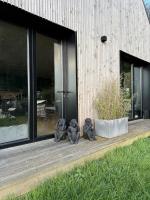 B&W Maison tout confort Honfleur - B&B Gonneville-sur-Honfleur