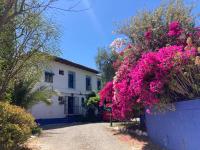 Bohemian Villa Malaga by PriorityVillas - B&B Alora