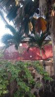 Casa Jujube - Bed and Breakfast Dakar