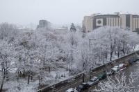 Little HoMe with a Park View by Flat Mаnager - Bed and Breakfast Sofia