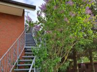 Ferienwohnung Tannenblick-MV - Bed and Breakfast